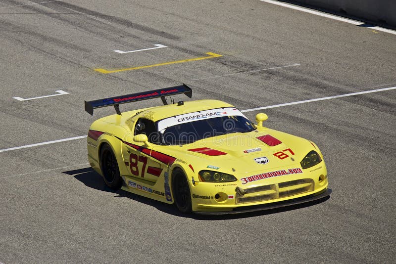 Ausweichen-Viper an den großartigen Rennen morgens-Rolex lizenzfreie stockfotos Ausweichen-Viper an den großartigen Rennen morgens-Rolex lizenzfreie stockfotos