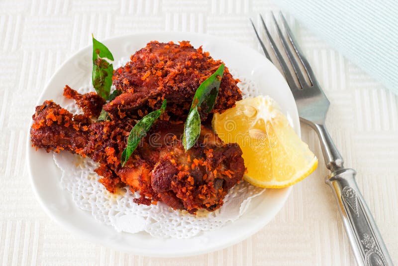 Autentyczny Indiański kurczaka dłoniak z pikantność, curry'ego liściem i koksem, obraz stock Autentyczny Indiański kurczaka dłoniak z pikantność, curry'ego liściem i koksem, obraz stock