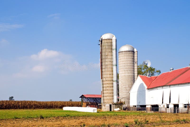 Amish farm in Lancaster, Pennsylvania with white tobacco barn, silos and cornfield in the background on an early fall afternoon. Amish farm in Lancaster, Pennsylvania with white tobacco barn, silos and cornfield in the background on an early fall afternoon.