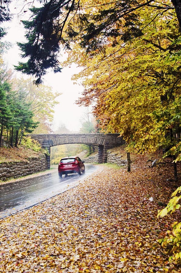 Auto het drijven op natte gebogen weg in het Nationale Park van Acadia Auto het drijven op natte gebogen weg in het Nationale Park van Acadia