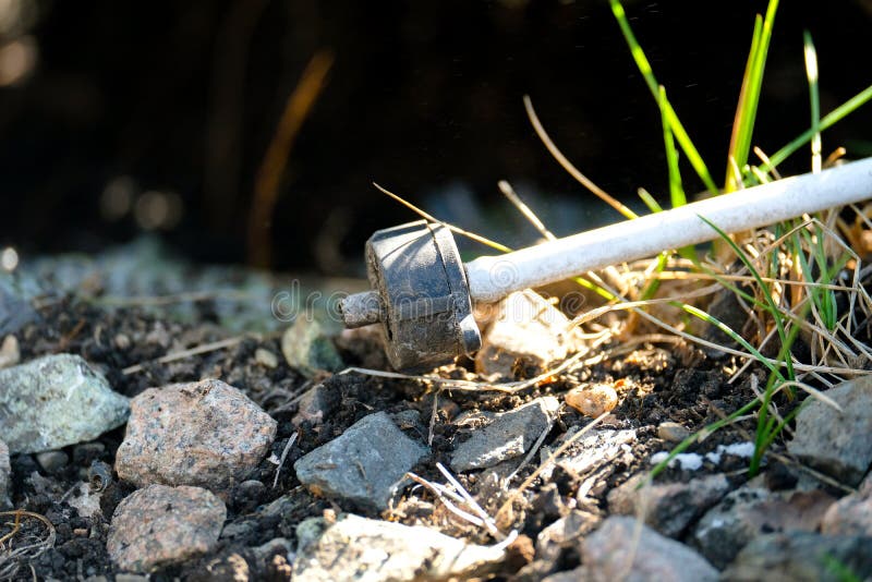 Autoirrigation Hose. Underground Drip Irrigation Stock Photo Image