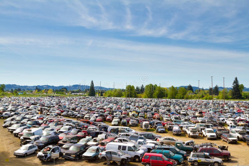 Escena muestra muchos carros próximo en ahorrar basura dónde clientes capaz elección elegir ellos vehículo refacción.