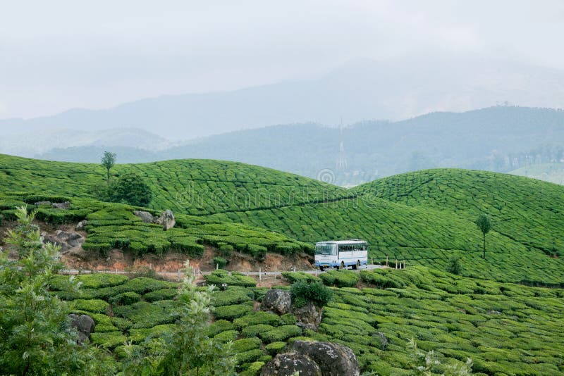 Autobusowy omijanie przez Munnar Herbacianych plantacj zdjęcie royalty free Autobusowy omijanie przez Munnar Herbacianych plantacj zdjęcie royalty free