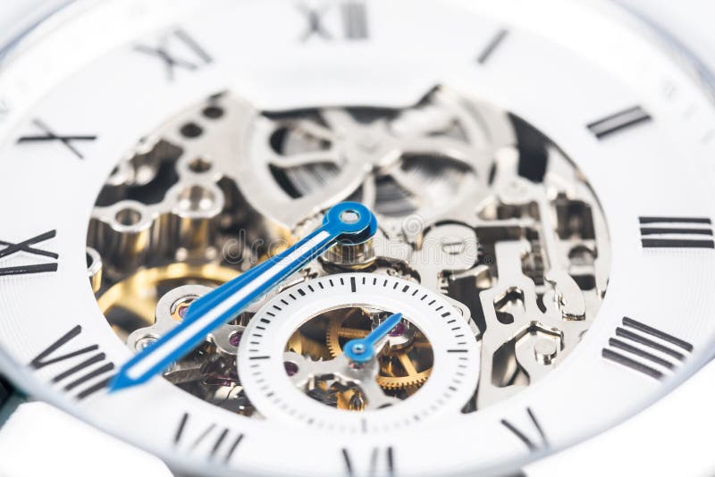 Automatic Men Watch With Visible Mechanism royalty free stock photography