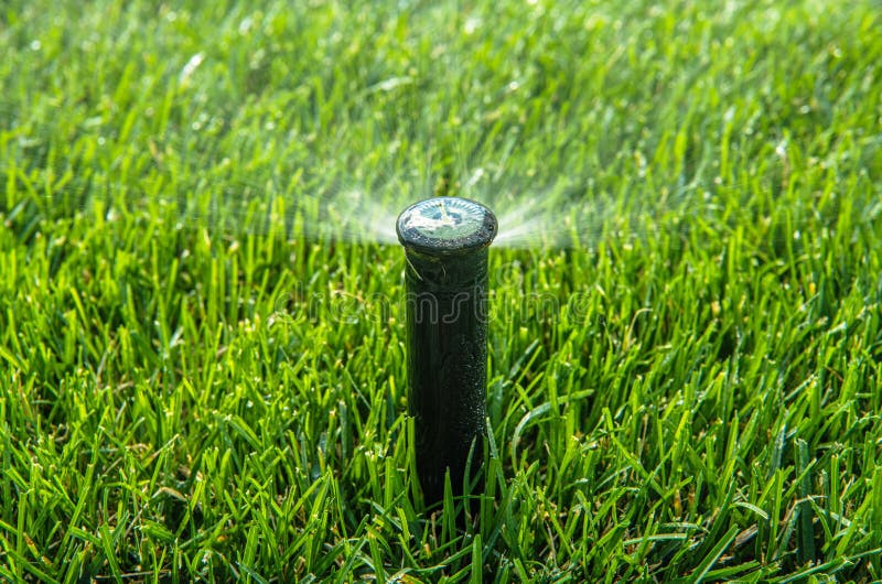 Automatic Pop Up Lawn Sprinkler Close Up