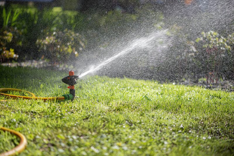 Automatic Sprinkler System Watering the Lawn.Watering in the Garden