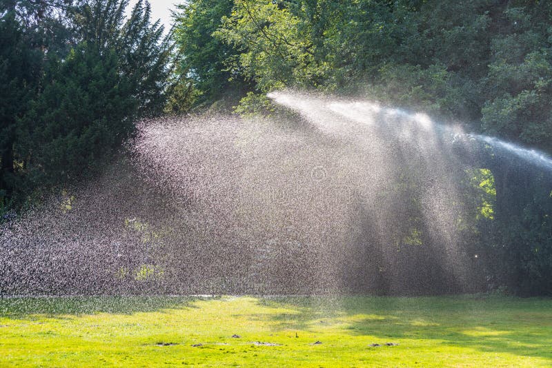Automatic Sprinkler System Watering the Lawn in a Park of Berlin