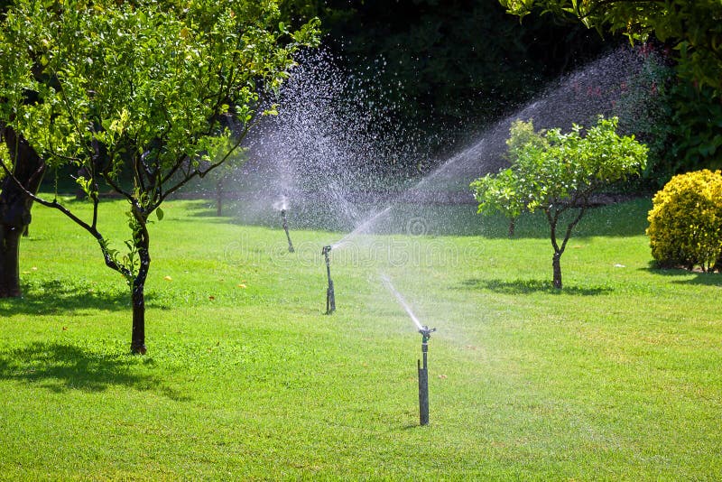 Automatic sprinkler watering in the garden royalty free stock images