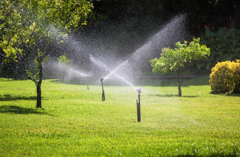 Automatic sprinkler watering in the garden royalty free stock images