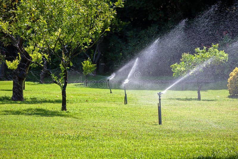 Automatic sprinkler watering in the garden royalty free stock photography