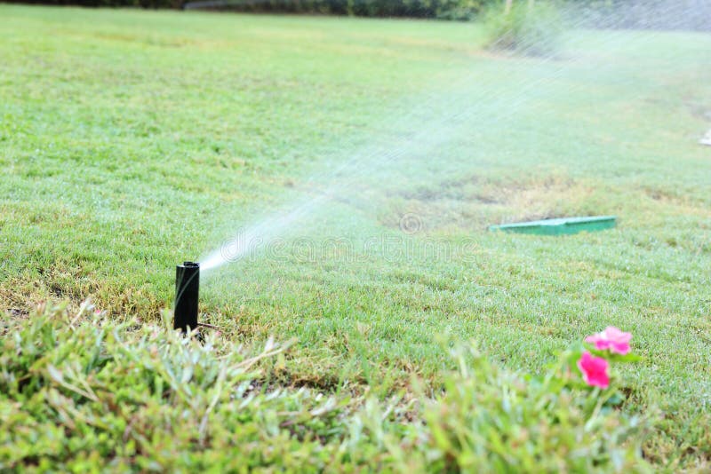 Automatic sprinkler watering green grass in garden stock images