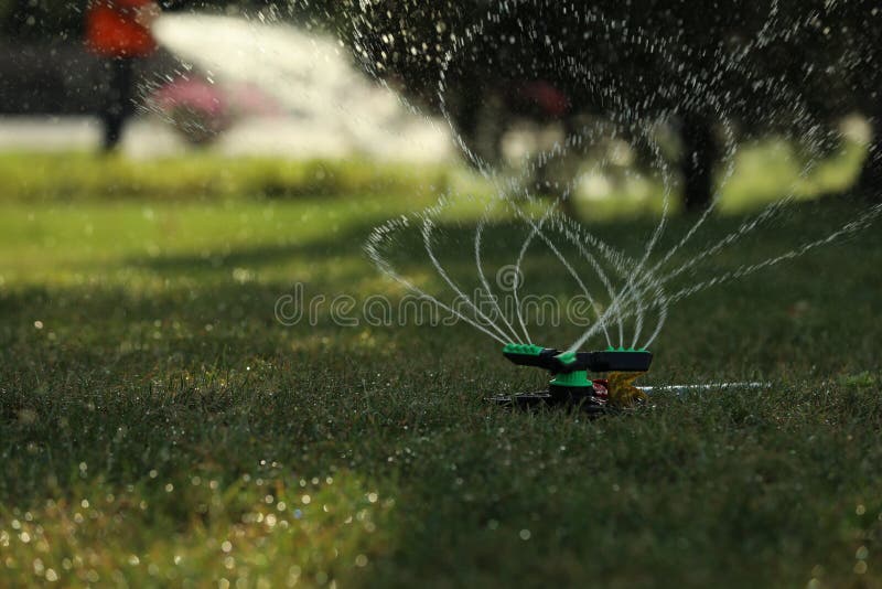 Automatic Sprinkler Watering Green Grass in Park. Irrigation System