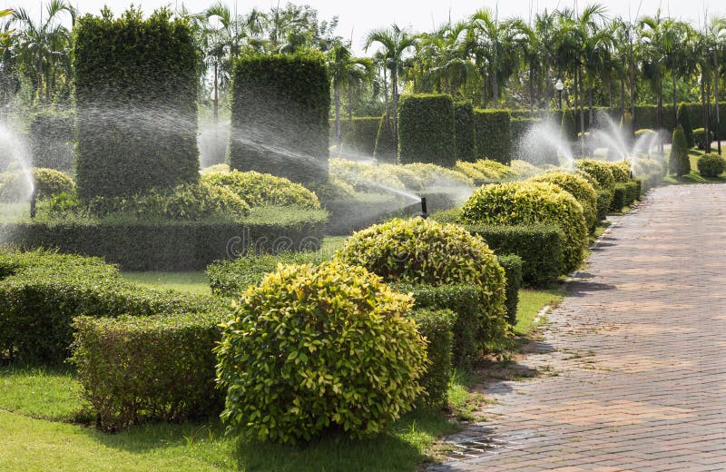 Automatic sprinkler watering to shrub trees in the garden stock images