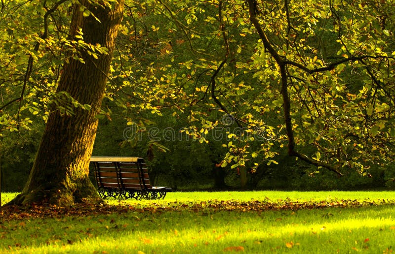 Automn Bench