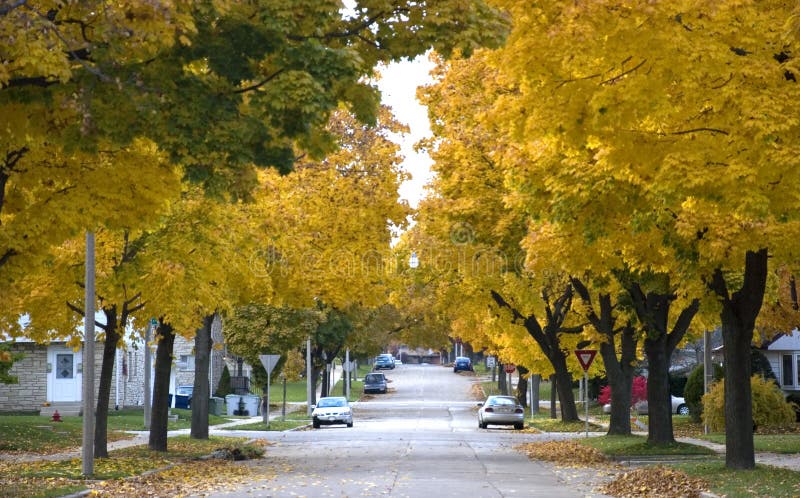 Automne dans la ville photographie stock libre de droits Automne dans la ville photographie stock libre de droits