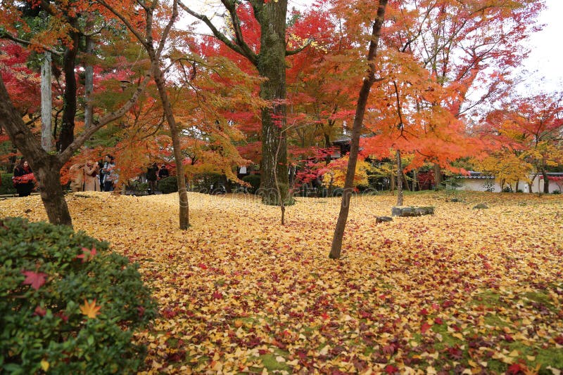 Automne en parc au Japon photographie stock Automne en parc au Japon photographie stock