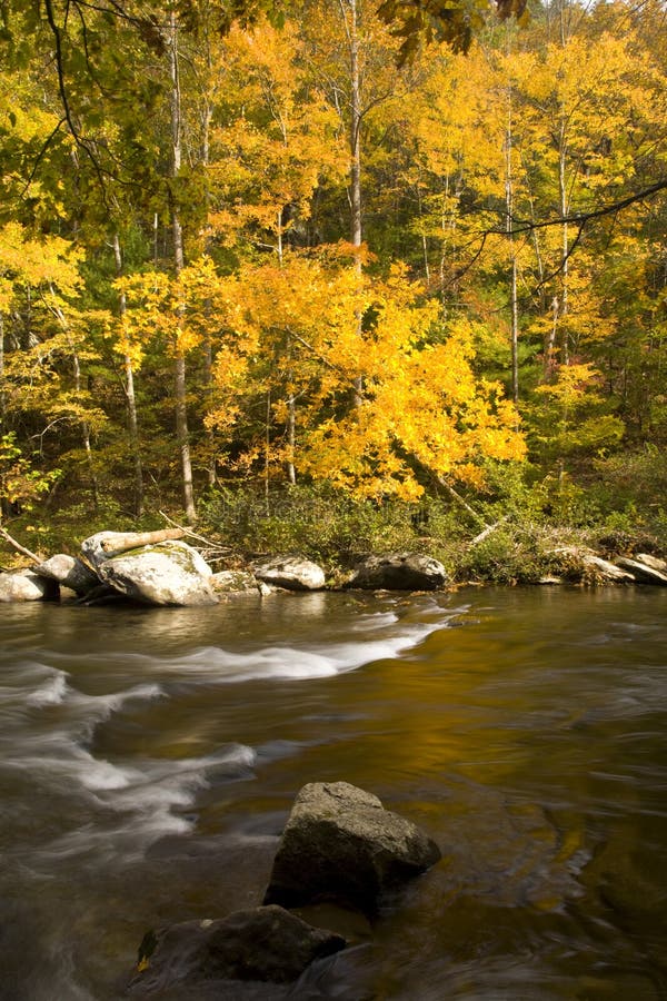 Automne, fleuve de Tellico, N-F cherokee photographie stock libre de droits Automne, fleuve de Tellico, N-F cherokee photographie stock libre de droits