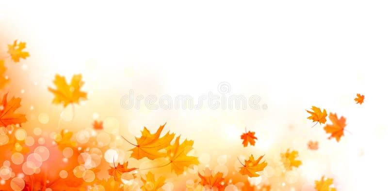 Automne Le fond abstrait de chute avec les feuilles et le soleil colorés évase illustration stock