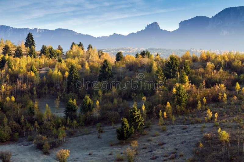 Automne sur forrest photo libre de droits Automne sur forrest photo libre de droits