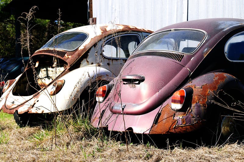 Automobili dello scarabeo di Volkswagen della roba di rifiuto