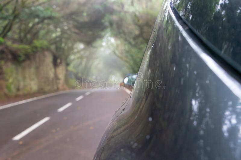Automóvil plateado en un bosque espeluznante y ruta nublada en un viaje hacia el paisaje, conduciendo con seguridad en una carret fotos de archivo Automóvil plateado en un bosque espeluznante y ruta nublada en un viaje hacia el paisaje, conduciendo con seguridad en una carret fotos de archivo