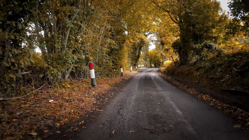 Autostrada autunnale un passaggio scenico attraverso la foresta video d archivio