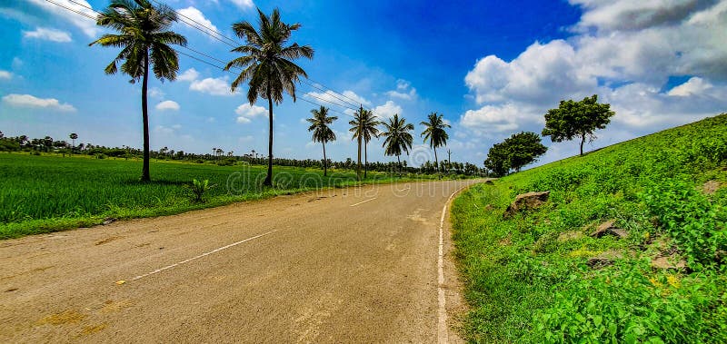 East Godavari and West Godavari districts are known as the rice bowl of Andhra Pradesh. The fertile area with lush paddy fields and coconut groves between the Godavari and Krishna rivers. Rice is the Principal food crop cultivated throughout the state providing food for its growing population, fodder to the cattle and employment to the rural masses.In Andhra Pradesh paddy is the major crop cultivated in more than 22 lakh hectares during Kharif and Rabi seasons. East Godavari and West Godavari districts are known as the rice bowl of Andhra Pradesh. The fertile area with lush paddy fields and coconut groves between the Godavari and Krishna rivers. Rice is the Principal food crop cultivated throughout the state providing food for its growing population, fodder to the cattle and employment to the rural masses.In Andhra Pradesh paddy is the major crop cultivated in more than 22 lakh hectares during Kharif and Rabi seasons.