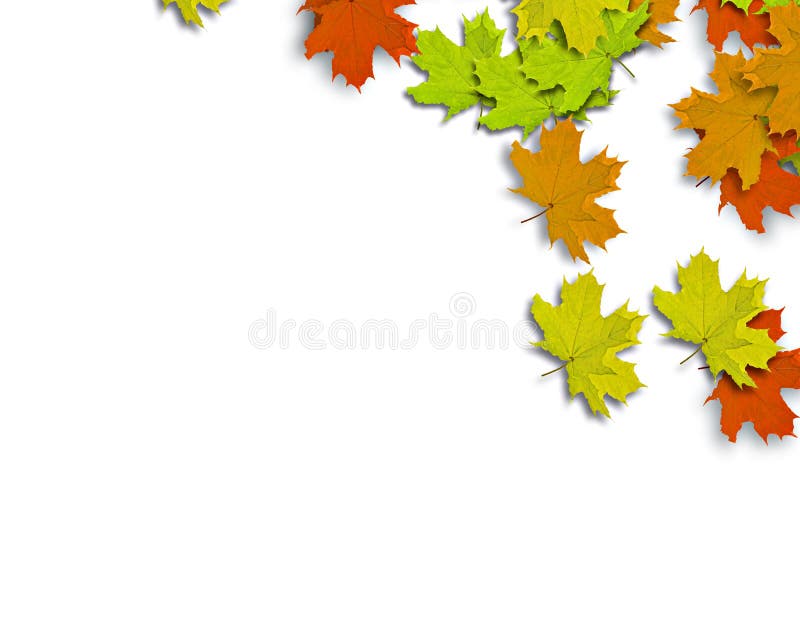 Podzim roku Pozadí s barevné podzimní listí padající ze stromu.