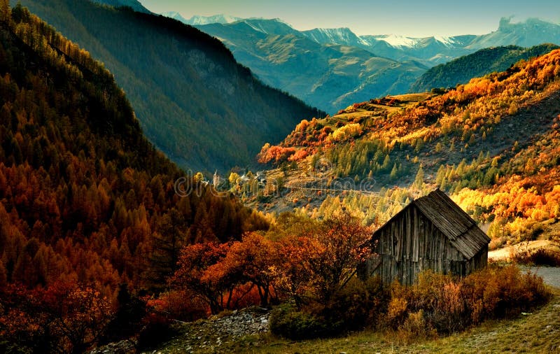 Delicat podzimní moment v jižní alpy.