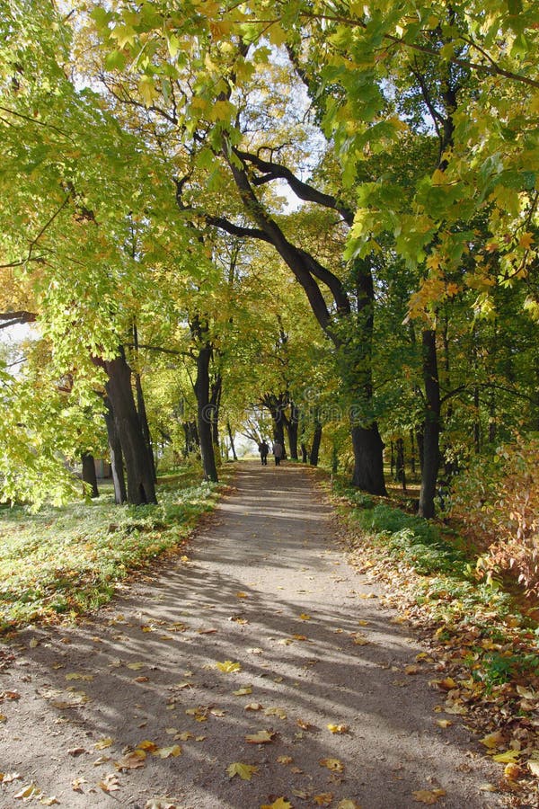 Autum park royalty free stock image