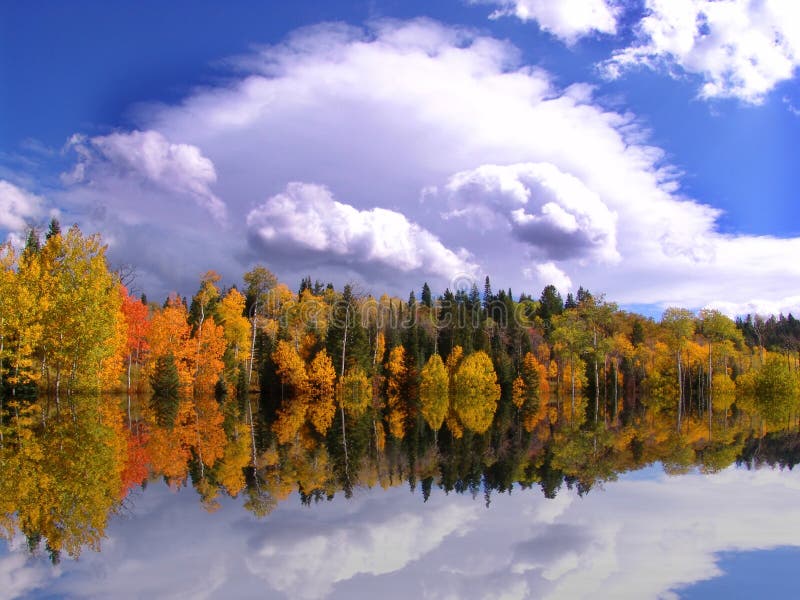 Autum Reflections