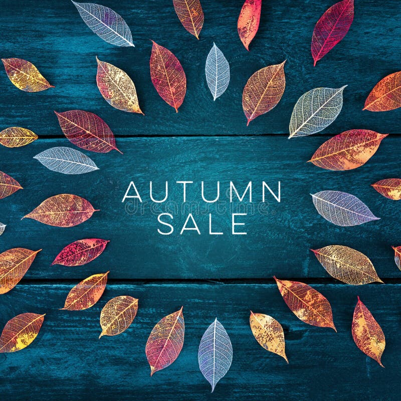 Autum Sale. Discount banner or flier design template with vibrant autumn leaves