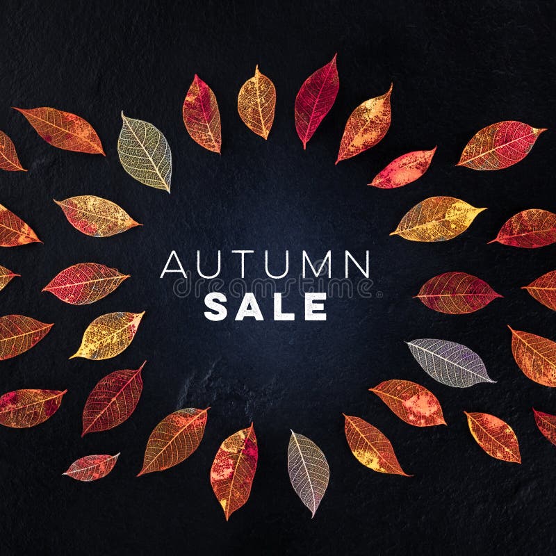 Autum Sale square discount banner or flyer design template