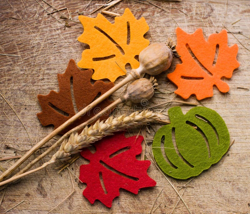 Pieces of felt decoration in shape of leaves and a pumpkin with dry poppy and spica. Pieces of felt decoration in shape of leaves and a pumpkin with dry poppy and spica