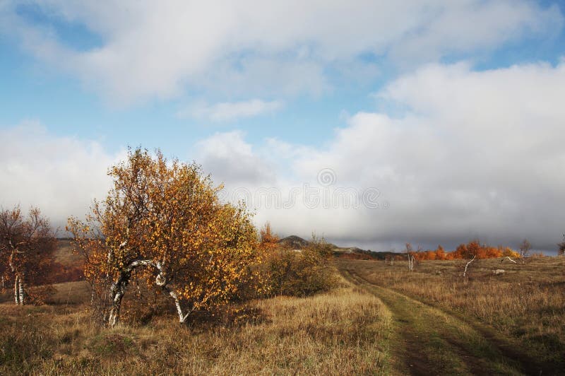 Autumn stock image