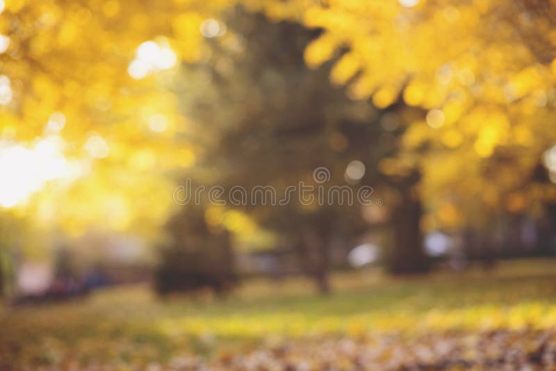 Autumn abstract blurred background with a magic lights