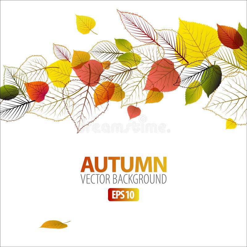 Autumn abstract floral background