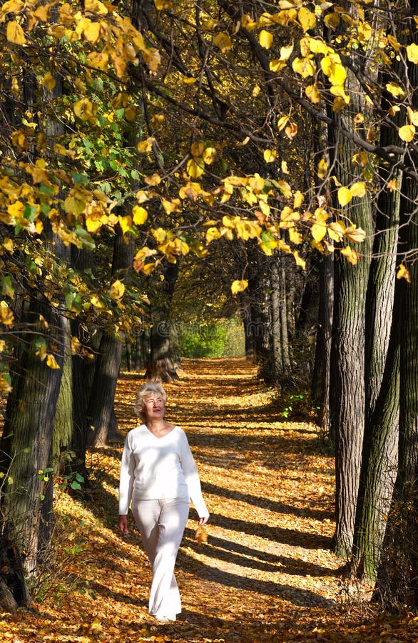 Autumn alley