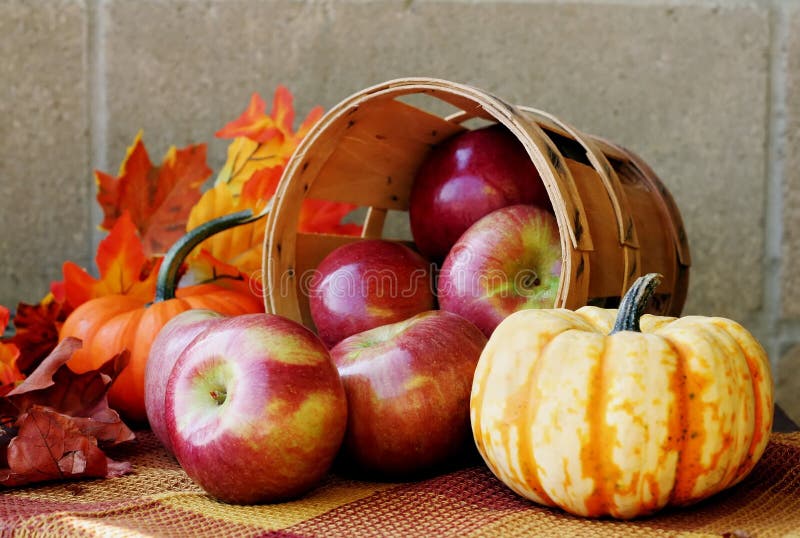 Moggio da mele zucca un autunno foglie.