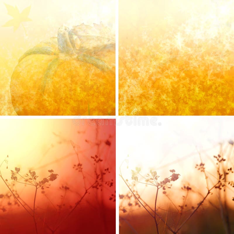 Autumn background