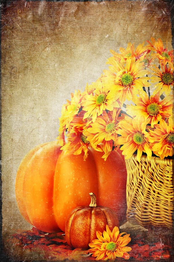 Autumn or Thanksgiving Bouquet with pumpkins and leaves against a white background. Copyspace available. Autumn or Thanksgiving Bouquet with pumpkins and leaves against a white background. Copyspace available.