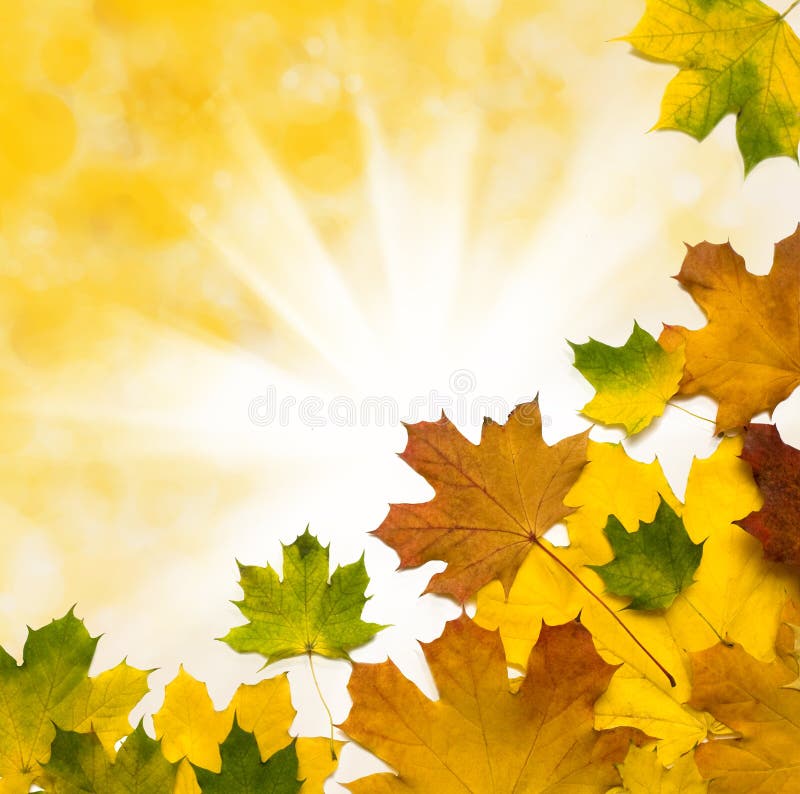 Autumn background