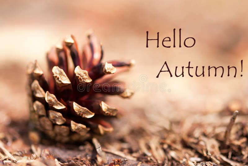Autumn Background avec bonjour l'automne image libre de droits Autumn Background avec bonjour l'automne image libre de droits