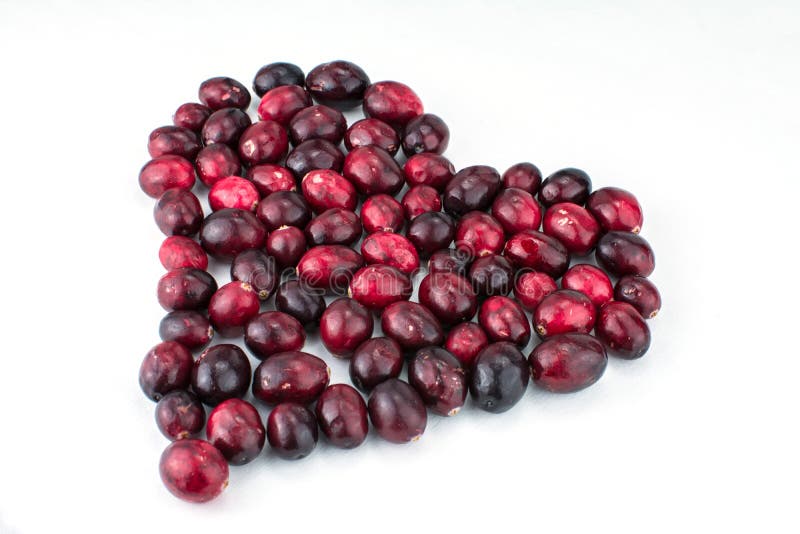 Healthy food red cranberry on white background. Autumn, background, ball, berry, botany, bright, care, close, up, closeup, color, cowberry, cranberry, decoration royalty free stock photos Healthy food red cranberry on white background. Autumn, background, ball, berry, botany, bright, care, close, up, closeup, color, cowberry, cranberry, decoration royalty free stock photos