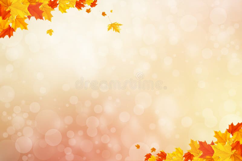 autumn background blurry circle glowing bokeh