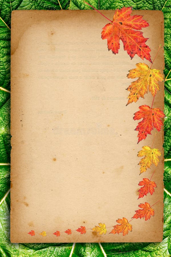 Autumn background with colored leaves on old paper