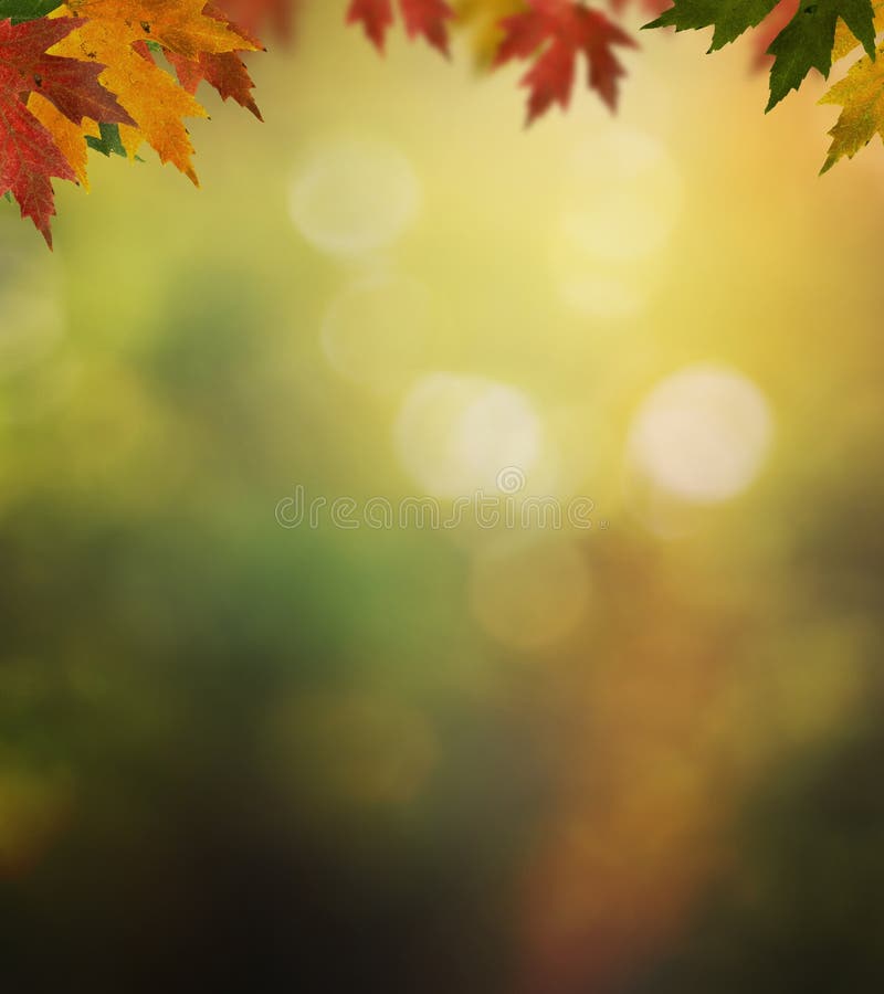 Autumn background