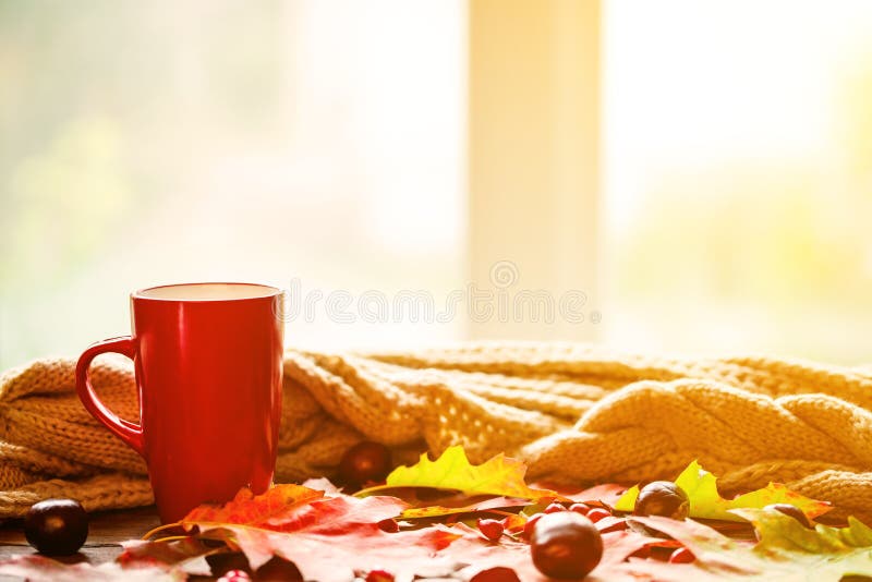 Autumn background with a Cup of tea with yellow leaves and warm knitted scarf on the old boards on the window background with copy