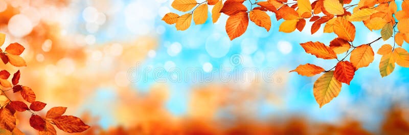 Autumn background in gold and blue