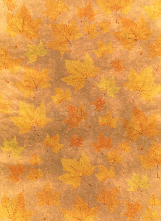 Autumn background illustration